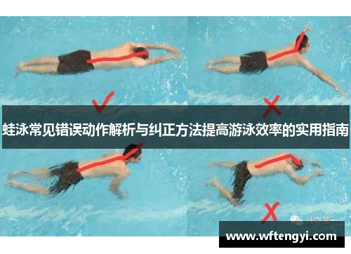 蛙泳常见错误动作解析与纠正方法提高游泳效率的实用指南